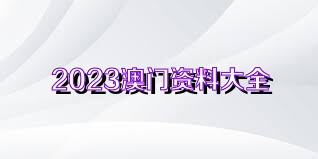 澳门精准资料免费正版大全,澳门精准资料免费正版大全，探索与警示