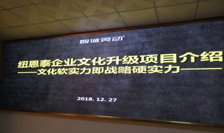 2024新奥门正版资料,新奥门正版资料与犯罪行为的探讨