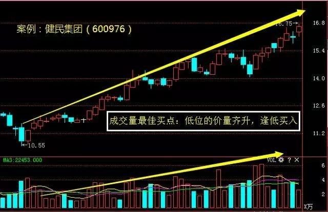 香港今晚开特马 开奖结果66期,香港今晚开特马，第66期开奖结果的期待与探索