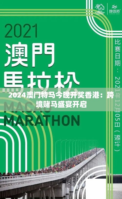 2024年澳门特马今晚,探索澳门特马的世界，2024年的今晚展望