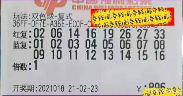 今晚澳门特马开什么号码,今晚澳门特马开什么号码——理性看待彩票与命运的交织